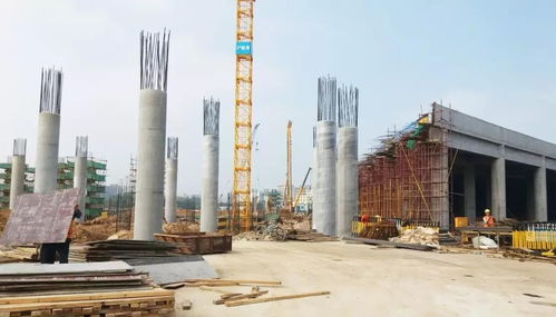 山东日京建材解读木制圆柱模板行业发展趋势与计算机系统服务的融合